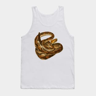 serpent,cobra,reptile,viper,venom,lizard,rattlesnake,king cobra Tank Top